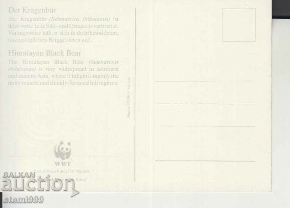 Postcard Maximum FDC BEARS WWF with price 1.80 BGN | € 0.92 Postcard Maximum FDC BEARS WWF with price 1.80 BGN | € 0.92