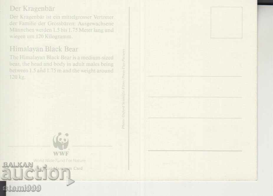 Postcard Maximum FDC BEARS WWF with price 1.80 BGN | € 0.92 Postcard Maximum FDC BEARS WWF with price 1.80 BGN | € 0.92