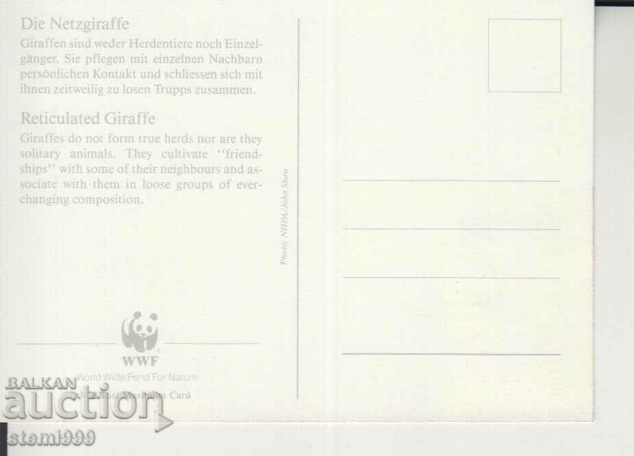 Postcard Maximum FDC GIRAFFE ANIMALS WWF with price 1.70 BGN | € 0.87 Postcard Maximum FDC GIRAFFE ANIMALS WWF with price 1.70 BGN | € 0.87