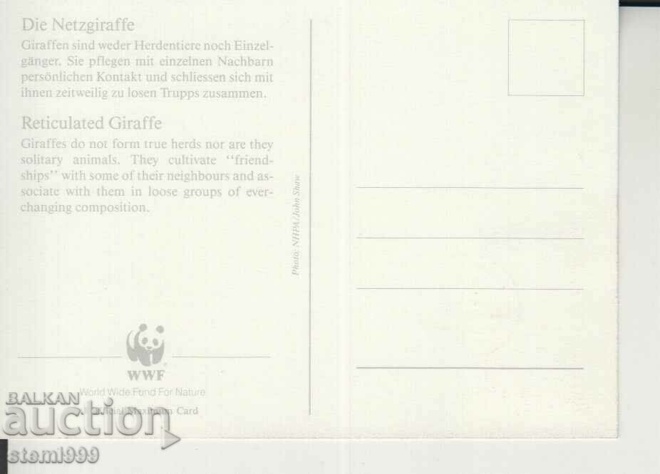 Postcard Maximum FDC GIRAFFE ANIMALS WWF with price 1.70 BGN | € 0.87 Postcard Maximum FDC GIRAFFE ANIMALS WWF with price 1.70 BGN | € 0.87