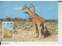 Καρτ ποστάλ Maximum FDC GIRAFFE ANIMALS WWF