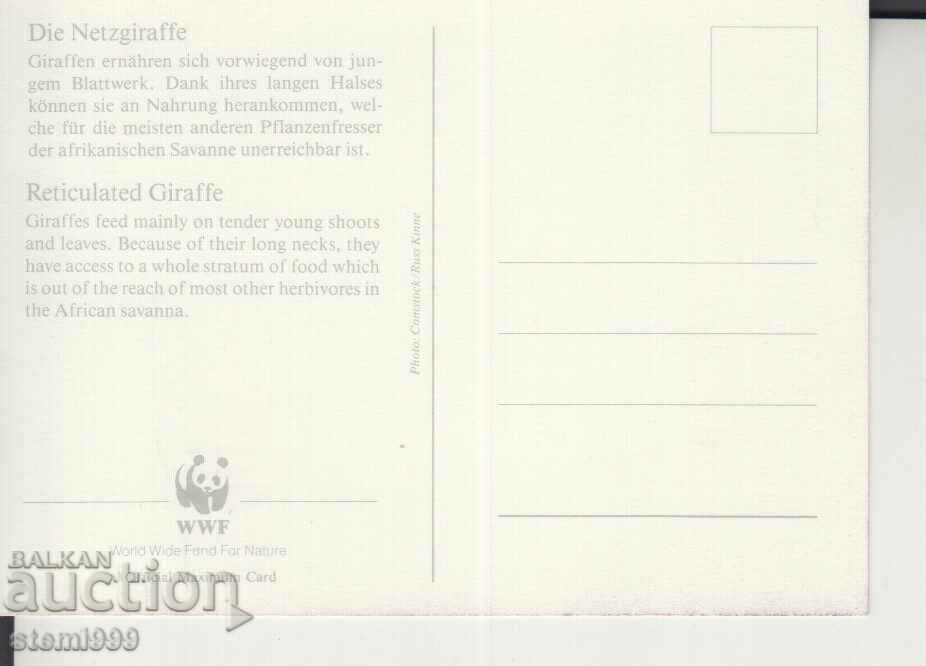 Postcard Maximum FDC GIRAFFE ANIMALS WWF with price 1.70 BGN | € 0.87 Postcard Maximum FDC GIRAFFE ANIMALS WWF with price 1.70 BGN | € 0.87