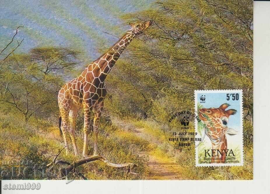 Carte poștală Maximum FDC GIRAFFE ANIMALE WWF