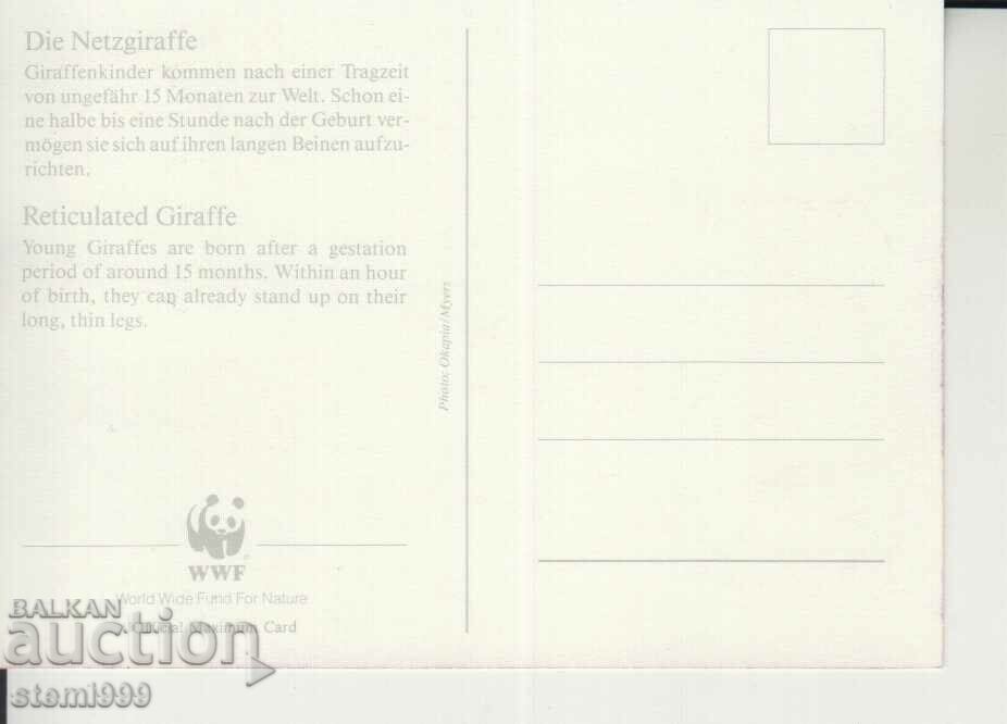 Postcard Maximum FDC GIRAFFE ANIMALS WWF with price 1.70 BGN | € 0.87 Postcard Maximum FDC GIRAFFE ANIMALS WWF with price 1.70 BGN | € 0.87