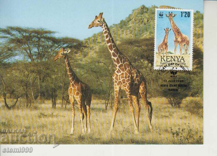 Postcard Maximum FDC GIRAFFE ANIMALS WWF