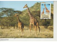 Καρτ ποστάλ Maximum FDC GIRAFFE ANIMALS WWF