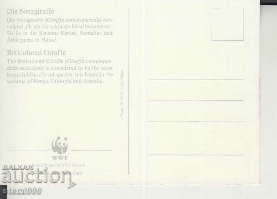 Postcard Maximum FDC GIRAFFE ANIMALS WWF with price 1.70 BGN | € 0.87 Postcard Maximum FDC GIRAFFE ANIMALS WWF with price 1.70 BGN | € 0.87