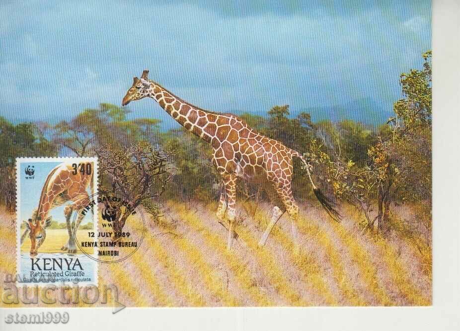 Καρτ ποστάλ Maximum FDC GIRAFFE ANIMALS WWF