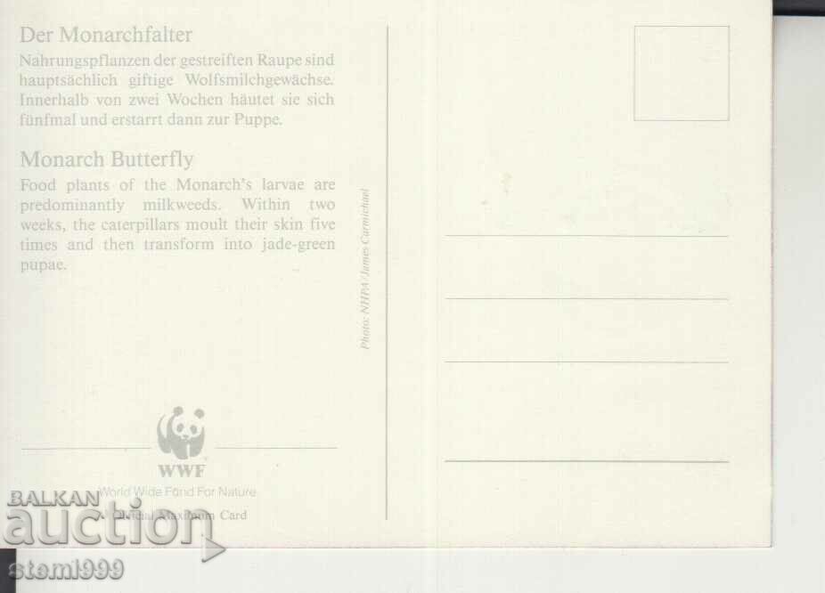 Postcard Maximum FDC BUTTERFLIES WWF with price 1.80 BGN | € 0.92 Postcard Maximum FDC BUTTERFLIES WWF with price 1.80 BGN | € 0.92