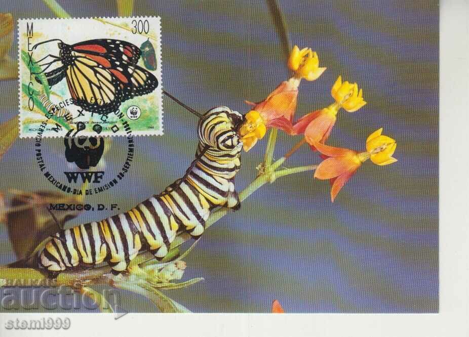 Postcard Maximum FDC BUTTERFLIES WWF