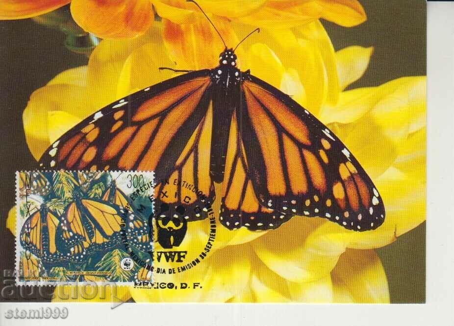 Postcard Maximum FDC BUTTERFLIES WWF