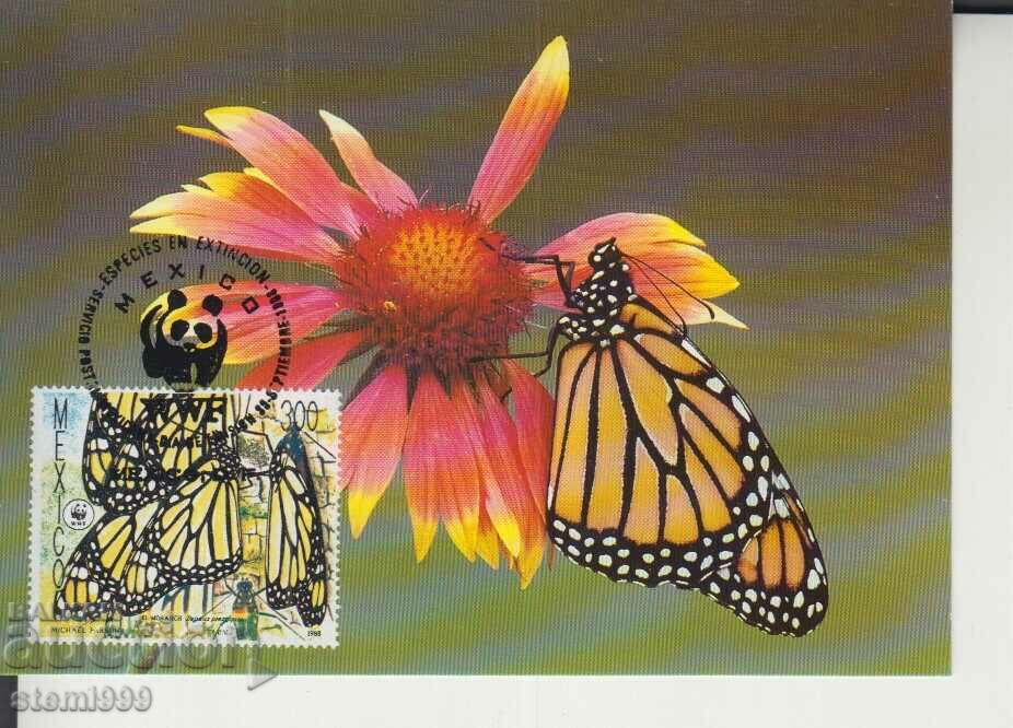 Postcard Maximum FDC BUTTERFLIES WWF