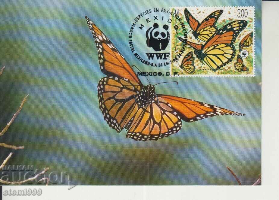 Postcard Maximum FDC BUTTERFLIES WWF