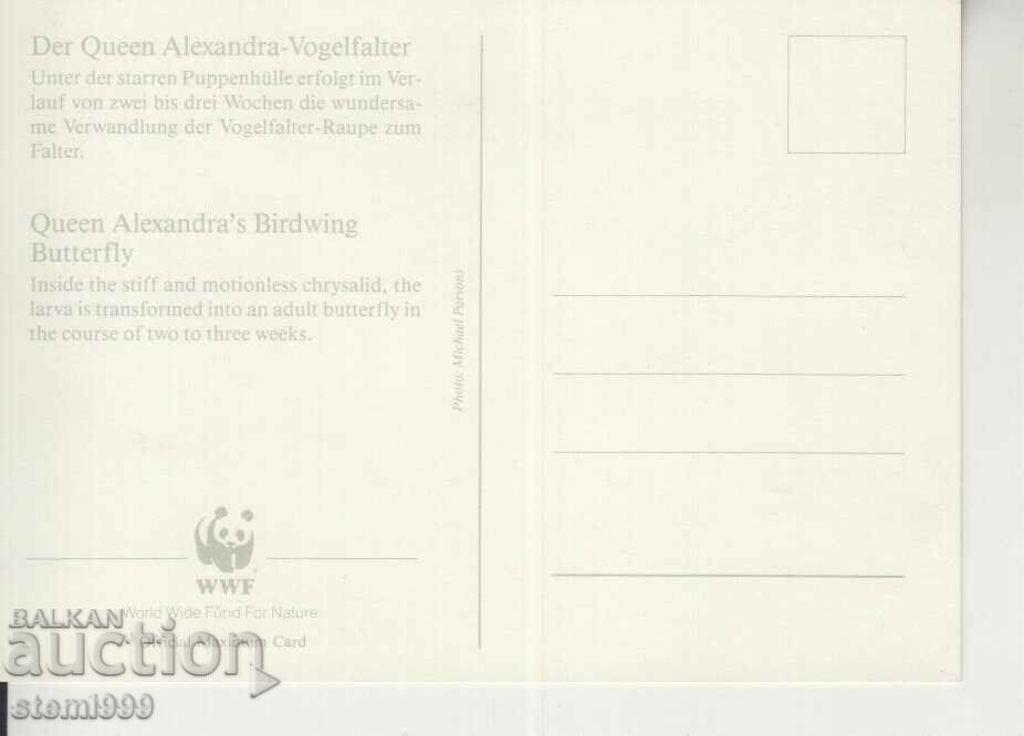 Postcard Maximum FDC BUTTERFLIES INSECTS with price 1.80 BGN | € 0.92 Postcard Maximum FDC BUTTERFLIES INSECTS with price 1.80 BGN | € 0.92