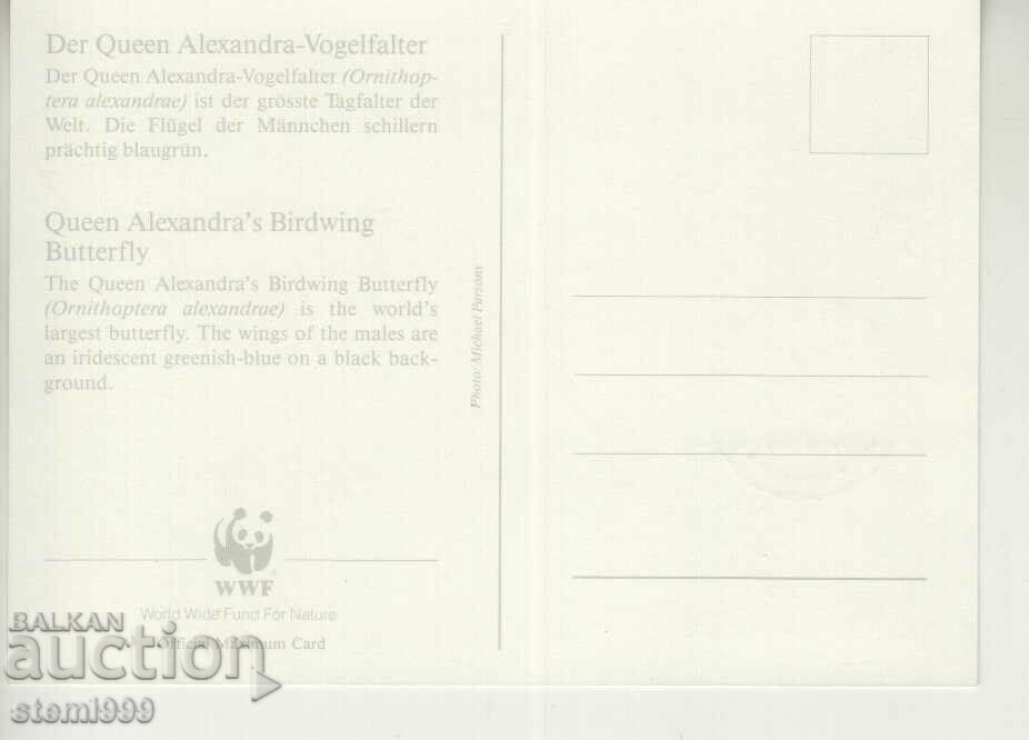 Postcard Maximum FDC BUTTERFLIES INSECTS with price 1.80 BGN | € 0.92 Postcard Maximum FDC BUTTERFLIES INSECTS with price 1.80 BGN | € 0.92