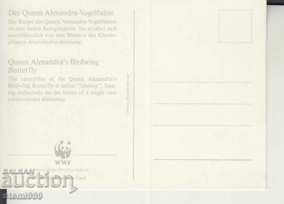 Postcard Maximum FDC BUTTERFLIES INSECTS with price 1.80 BGN | € 0.92 Postcard Maximum FDC BUTTERFLIES INSECTS with price 1.80 BGN | € 0.92