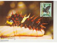 Postcard Maximum FDC BUTTERFLIES INSECTS