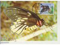 Carte poștală Maximum FDC FLUTURI INSECTE