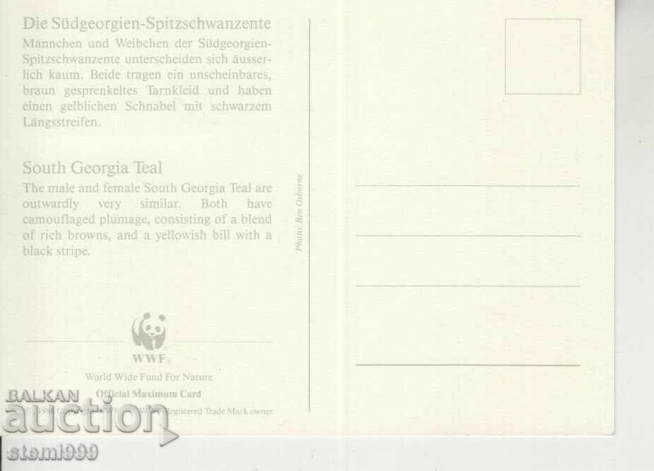 Postcard Maximum FDC BIRDS WWF with price 1.50 BGN | € 0.77 Postcard Maximum FDC BIRDS WWF with price 1.50 BGN | € 0.77