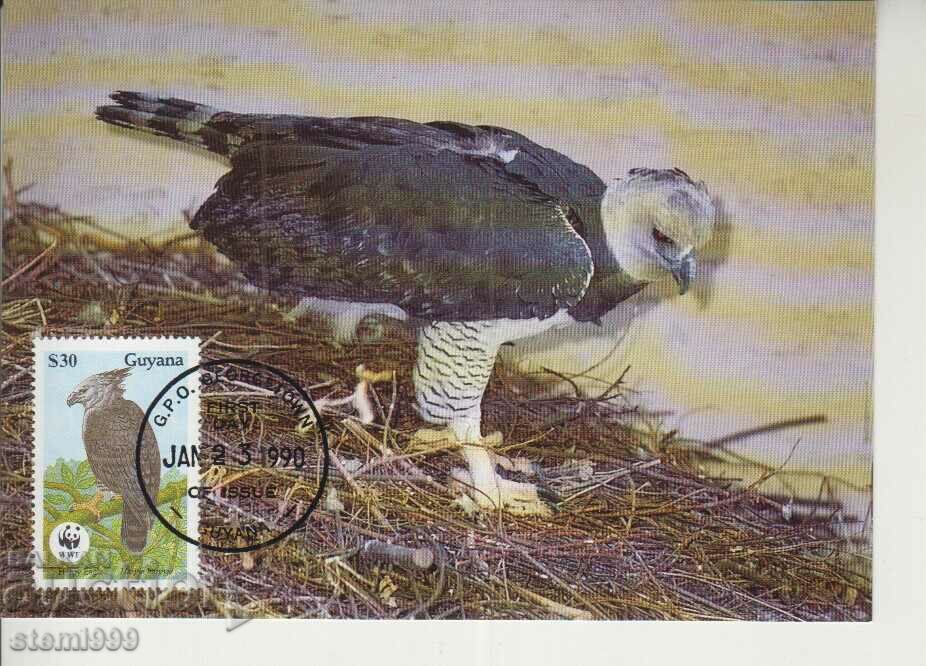 Carte poștală Maximum FDC BIRDS