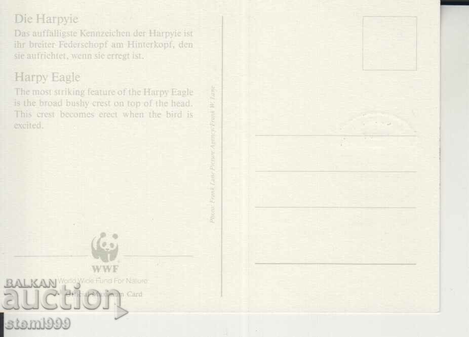 Postcard Maximum FDC BIRDS with price 1.70 BGN | € 0.87 Postcard Maximum FDC BIRDS with price 1.70 BGN | € 0.87