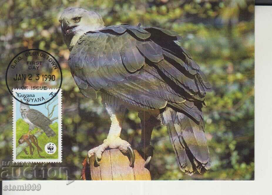 Carte poștală Maximum FDC BIRDS