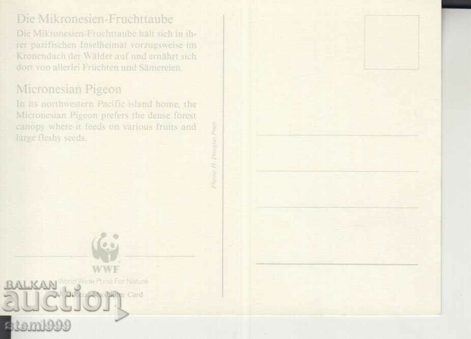 Postcard Maximum FDC BIRDS with price 1.50 BGN | € 0.77 Postcard Maximum FDC BIRDS with price 1.50 BGN | € 0.77