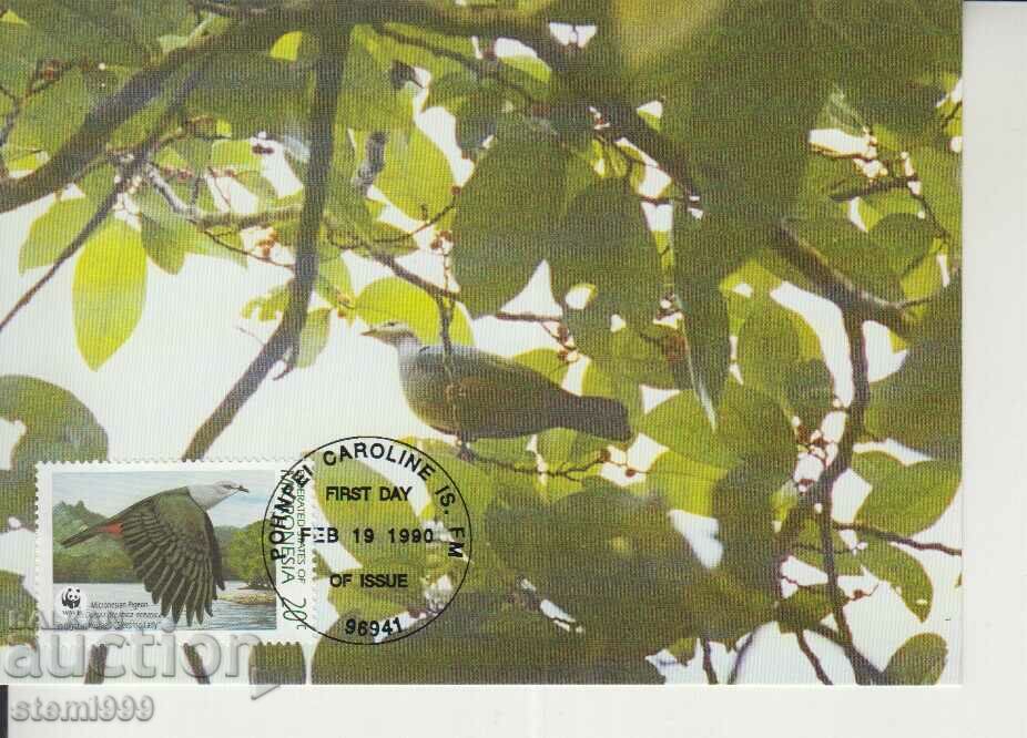 Postcard Maximum FDC BIRDS