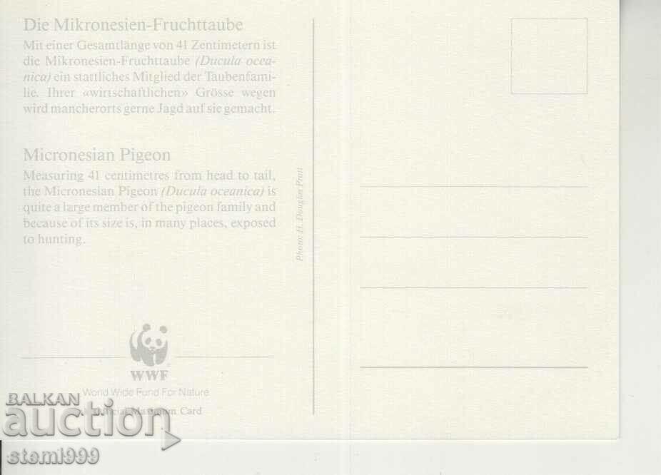 Postcard Maximum FDC BIRDS with price 1.50 BGN | € 0.77 Postcard Maximum FDC BIRDS with price 1.50 BGN | € 0.77