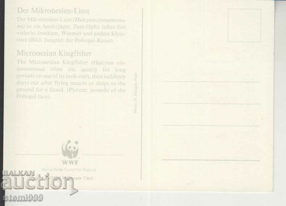 Postcard Maximum FDC BIRDS with price 1.50 BGN | € 0.77 Postcard Maximum FDC BIRDS with price 1.50 BGN | € 0.77