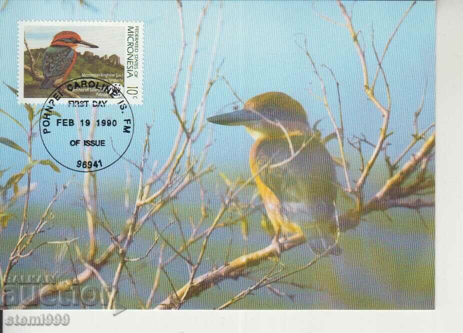 Postcard Maximum FDC BIRDS