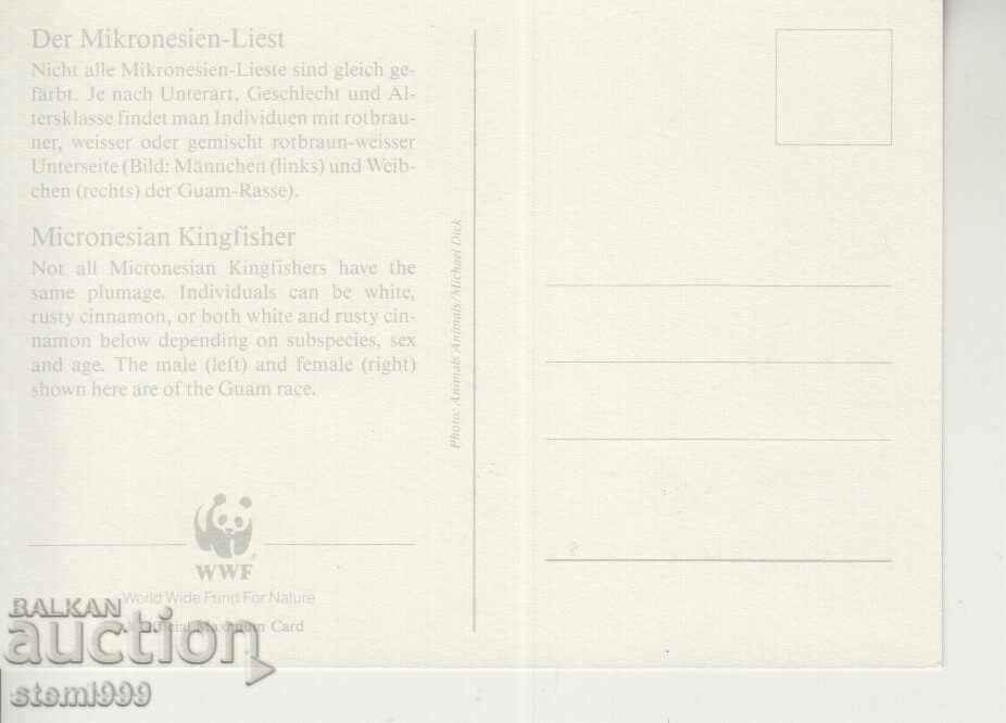 Postcard Maximum FDC BIRDS with price 1.50 BGN | € 0.77