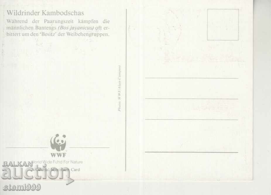 Postcard Maximum FDC ANIMALS WWF with price 1.50 BGN | € 0.77 Postcard Maximum FDC ANIMALS WWF with price 1.50 BGN | € 0.77