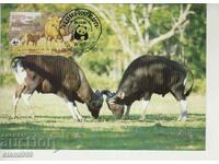 Postcard Maximum FDC ANIMALS WWF