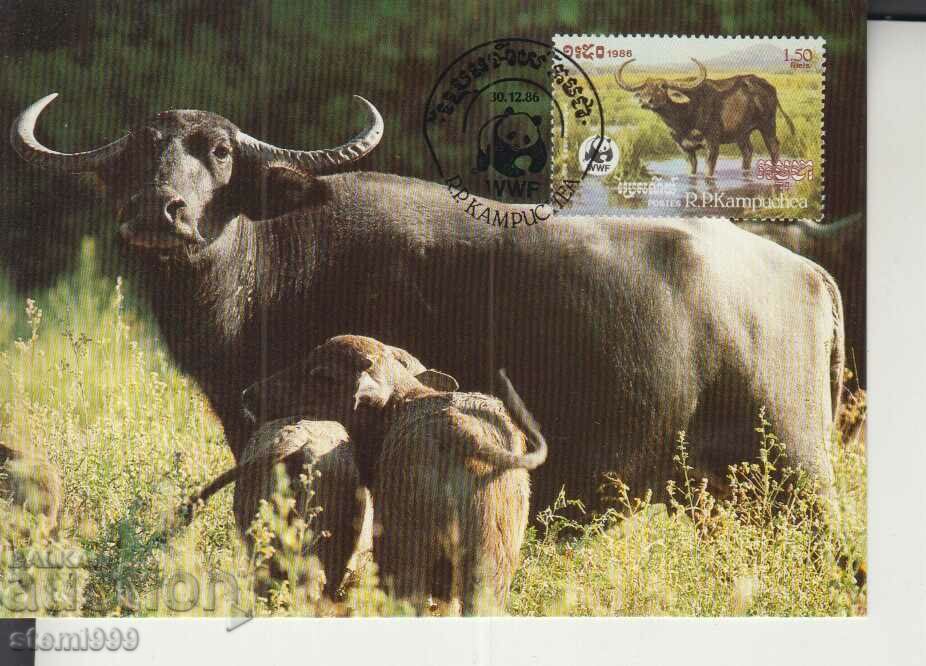 Postcard Maximum FDC ANIMALS WWF