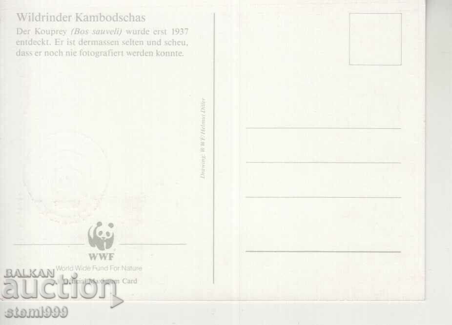 Postcard Maximum FDC ANIMALS WWF with price 1.50 BGN | € 0.77