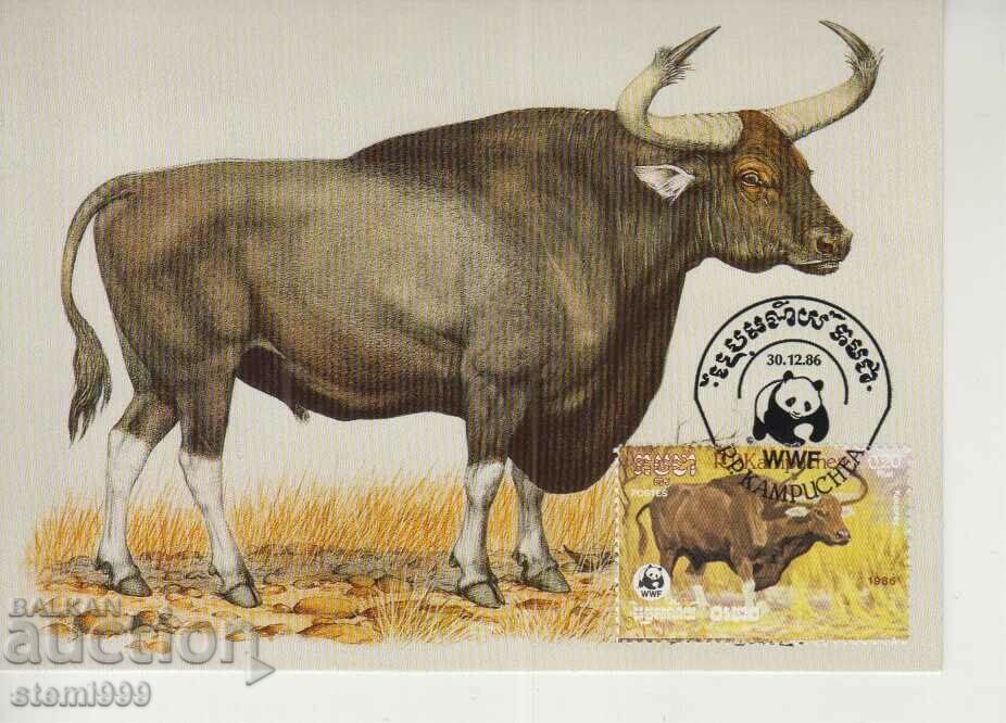 Postcard Maximum FDC ANIMALS WWF