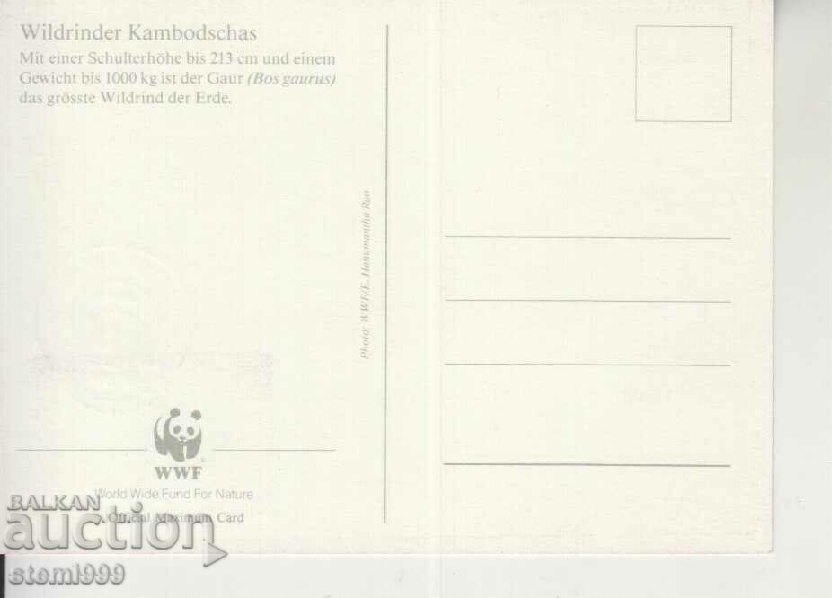 Postcard Maximum FDC ANIMALS WWF with price 1.50 BGN | € 0.77 Postcard Maximum FDC ANIMALS WWF with price 1.50 BGN | € 0.77