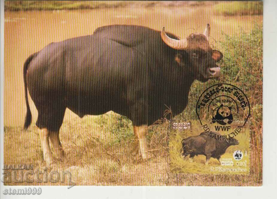 Postcard Maximum FDC ANIMALS WWF