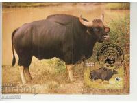 Postcard Maximum FDC ANIMALS WWF