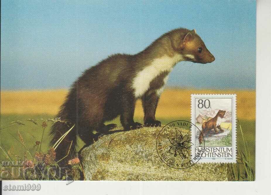 Carte poștală Maximum FDC ANIMALE