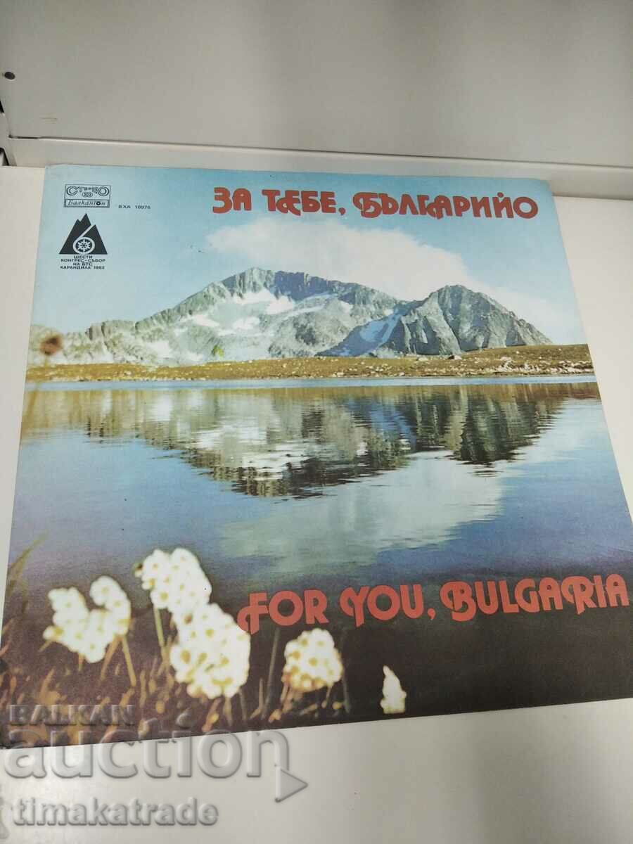 Plate BXA 10976 For you Bulgaria Mountain song