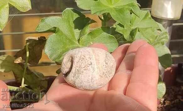 Fossil with price € 2.00 | 3.91 BGN