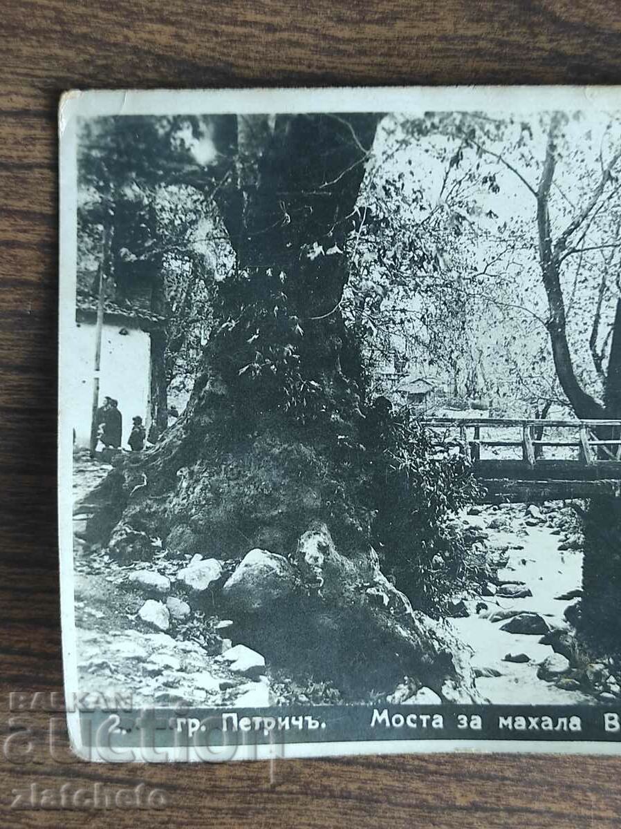 Postal Card Kingdom of Bulgaria - Petrich with price 25.00 BGN | € 12.78 Postal Card Kingdom of Bulgaria - Petrich with price 25.00 BGN | € 12.78