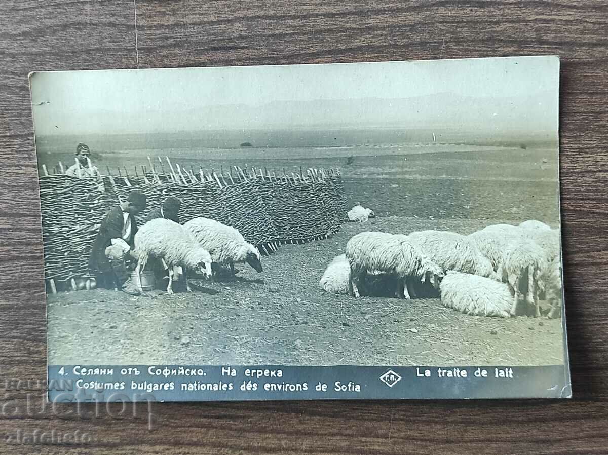 Postal Card Kingdom of Bulgaria - Villagers from Sofia