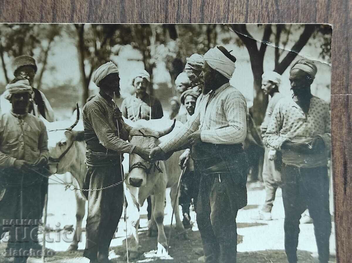 Auction  Postal Card Kingdom of Bulgaria - Razgrad. bargaining for cows