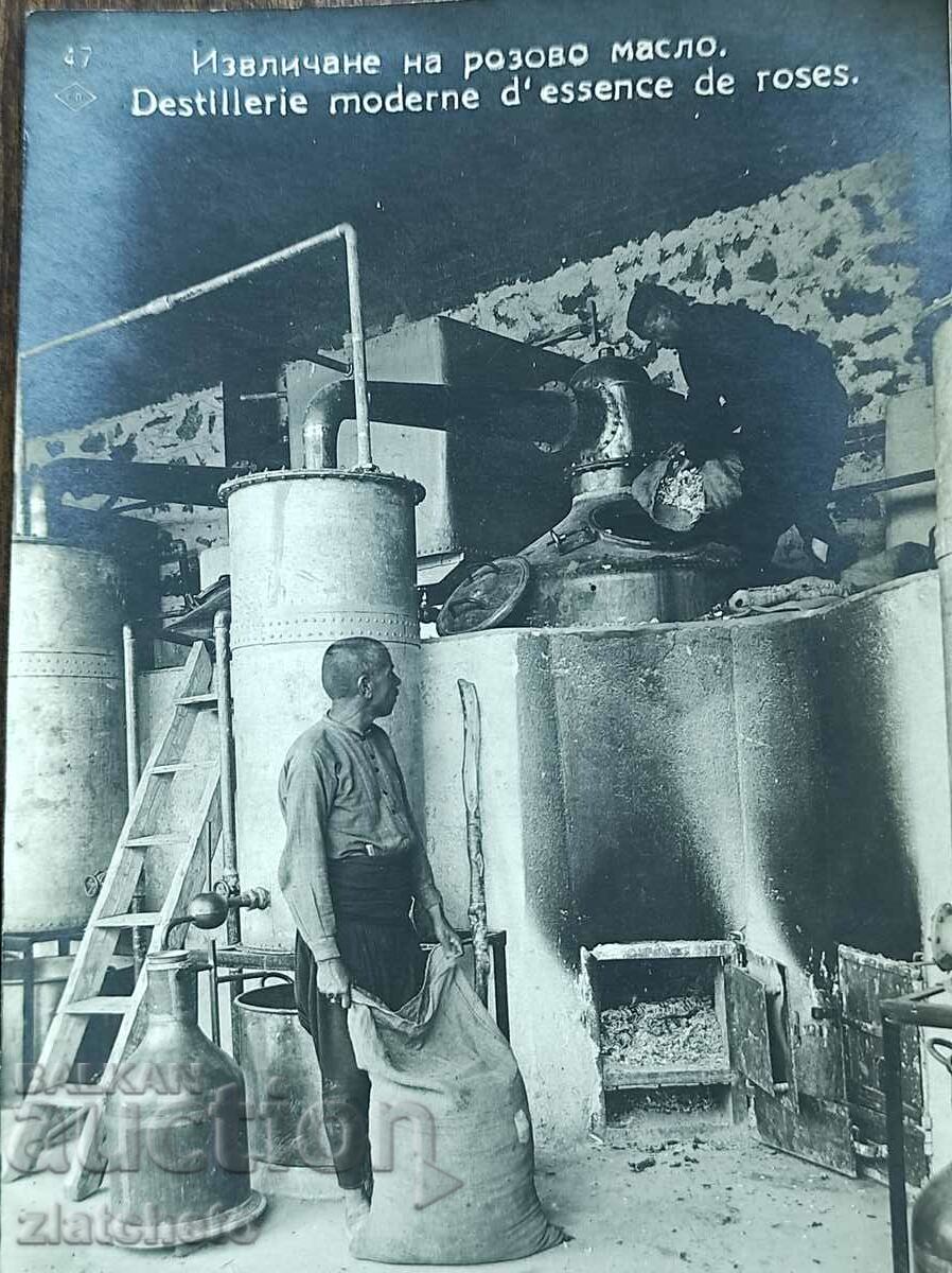 Postal Card Kingdom of Bulgaria - Extraction of rose oil with price 30.00 BGN | € 15.34 Postal Card Kingdom of Bulgaria - Extraction of rose oil with price 30.00 BGN | € 15.34