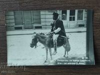 Postal Card Kingdom of Bulgaria Sofia cheese seller