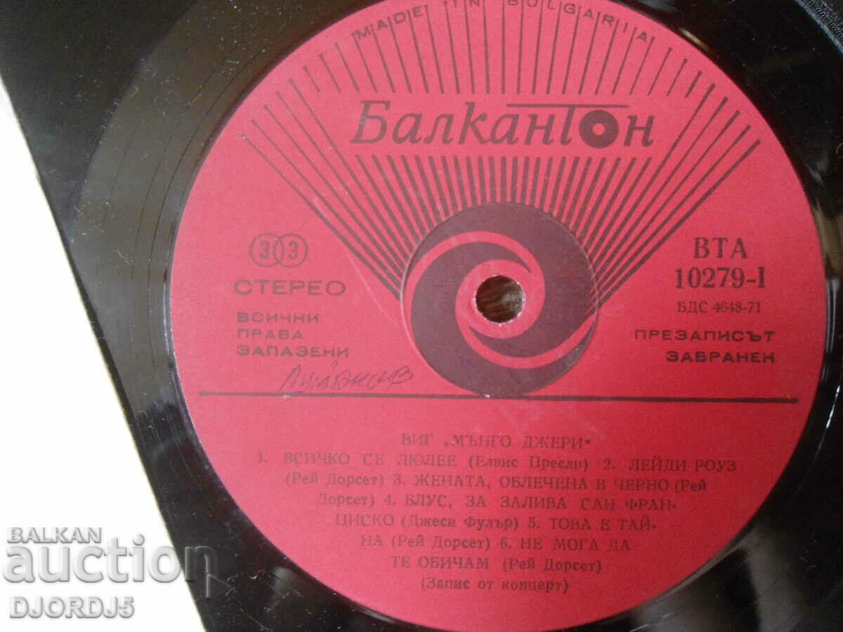 Auction VIG "Mungo Jerry", VTA 10279, gramophone record, large Auction VIG "Mungo Jerry", VTA 10279, gramophone record, large