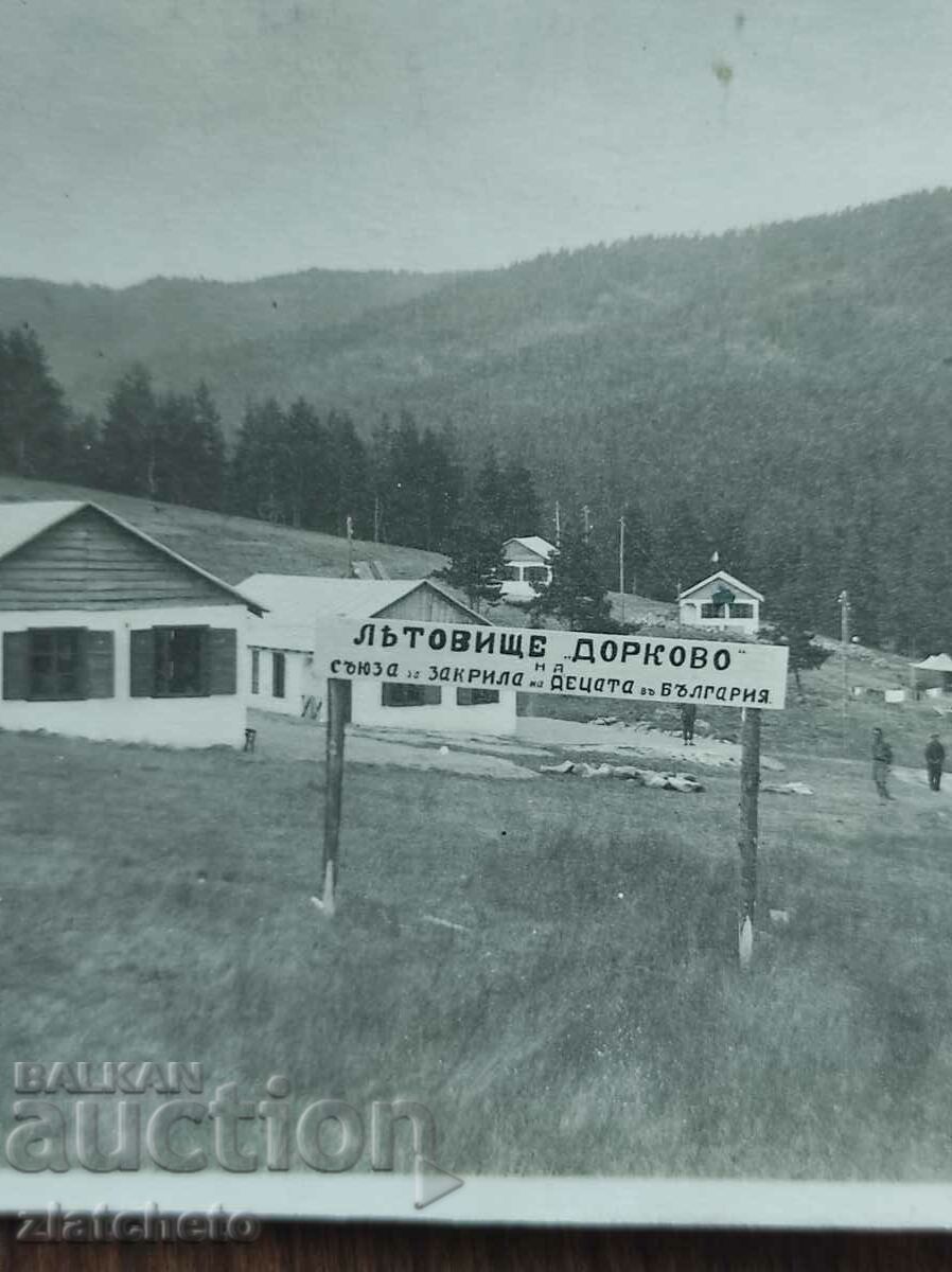 Postal Card Kingdom of Bulgaria - to Zdravko Podvrazachov with price 40.00 BGN | € 20.45 Postal Card Kingdom of Bulgaria - to Zdravko Podvrazachov with price 40.00 BGN | € 20.45